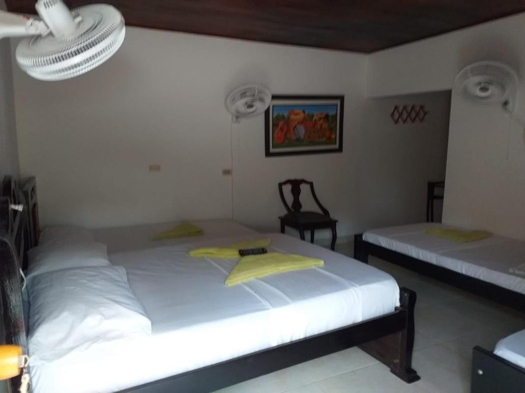 Hostel Cattleya Паломіно Екстер'єр фото
