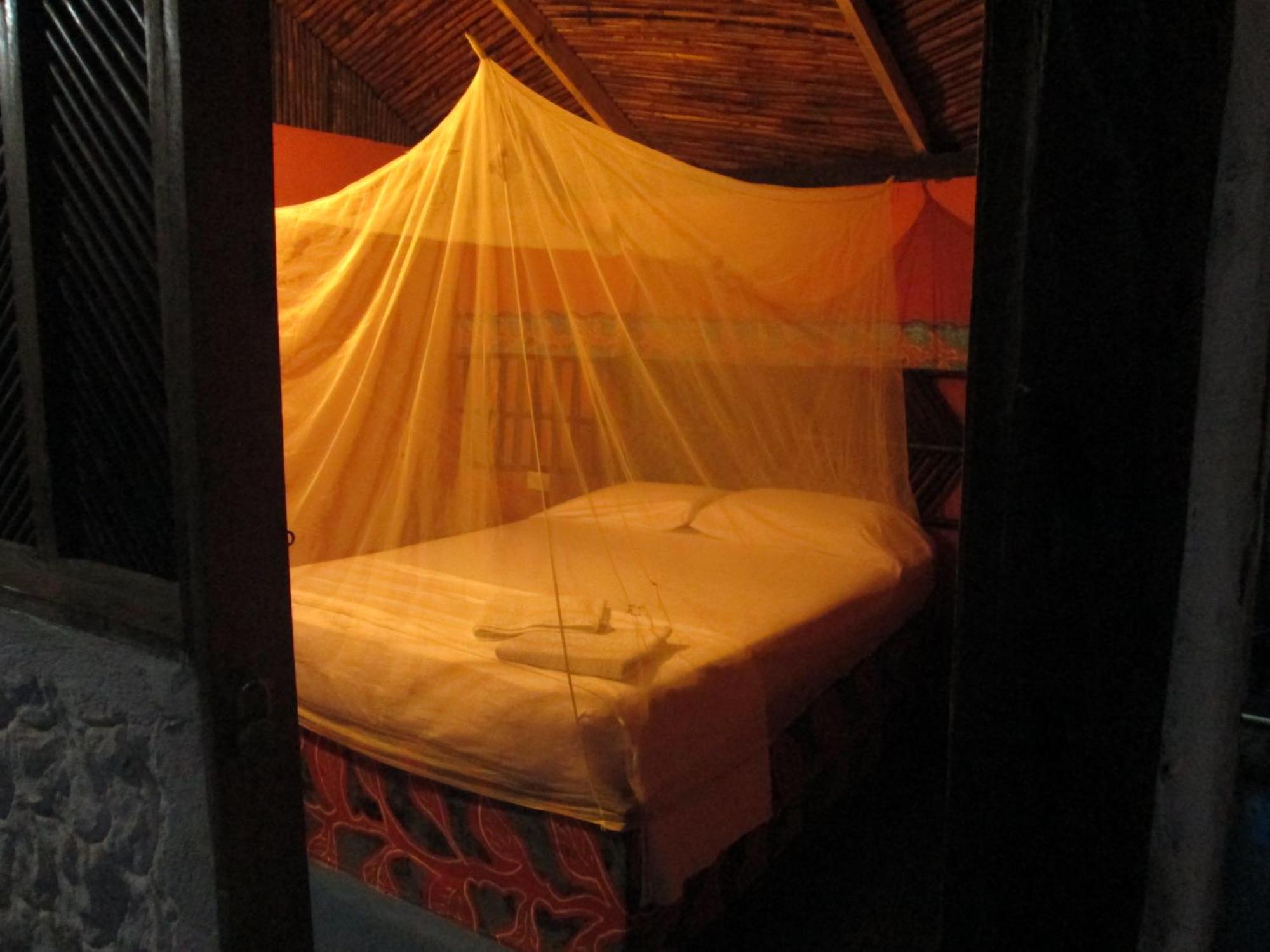 Hostel Cattleya Паломіно Екстер'єр фото
